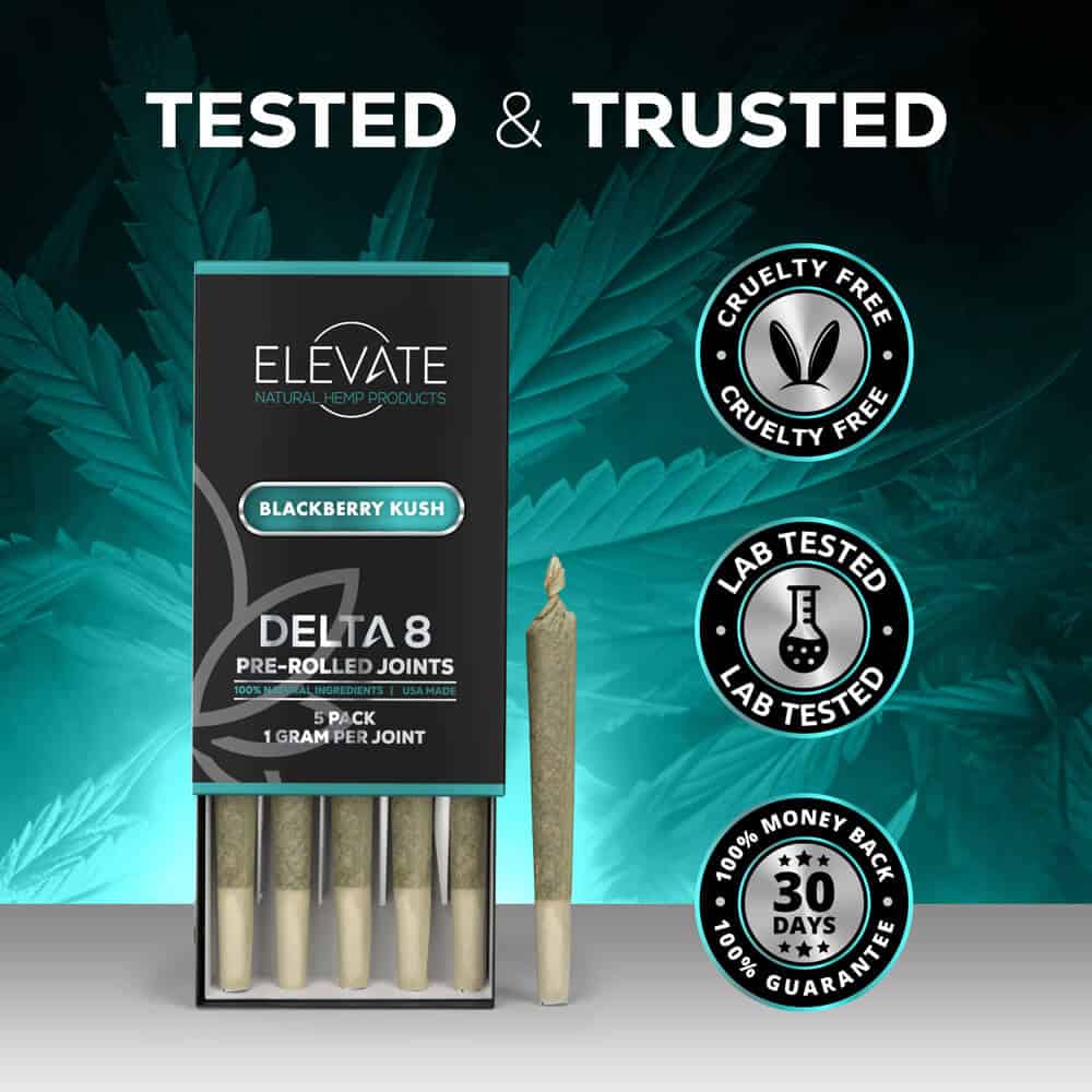 Delta 8 Cigarettes - Blackberry Kush - Elevate