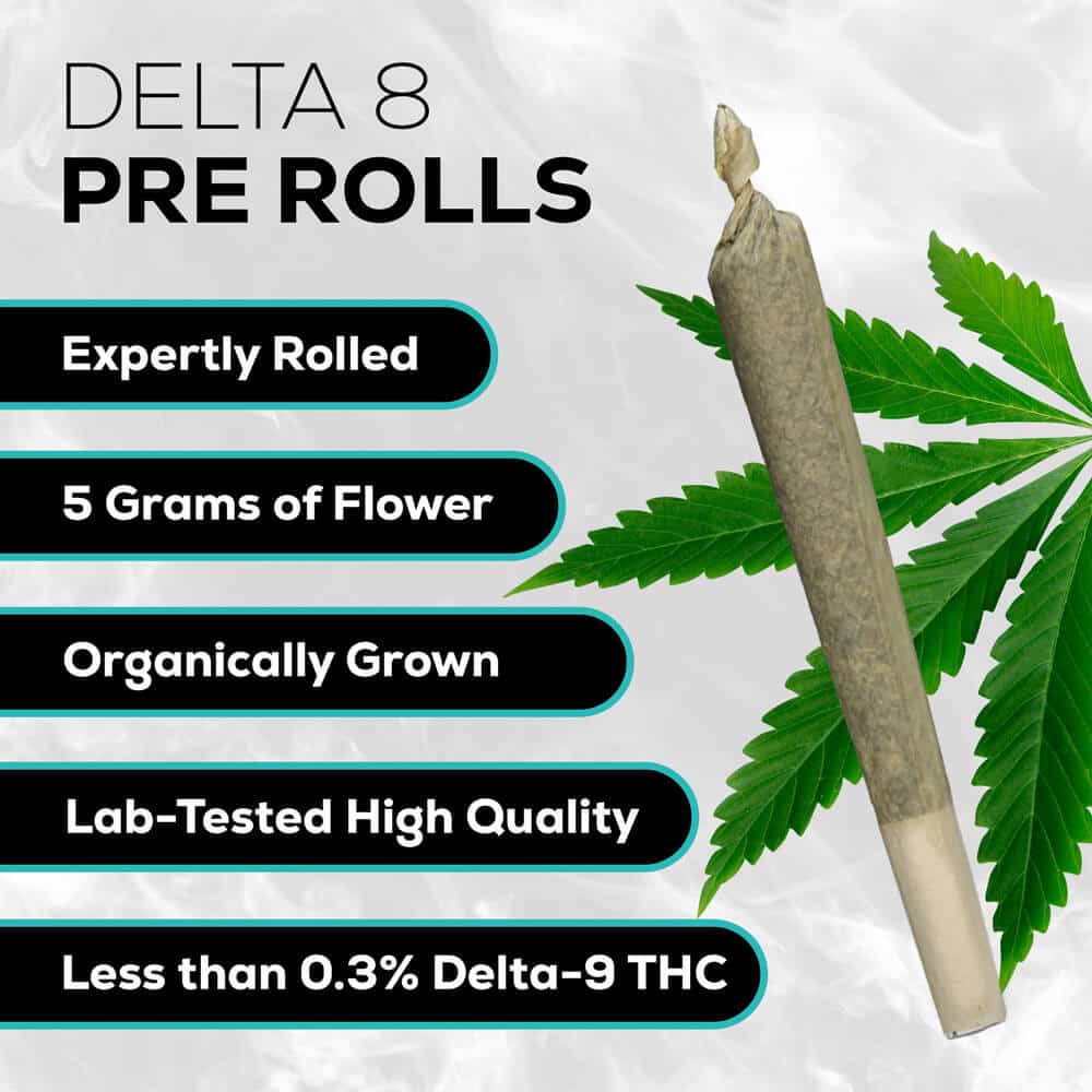 Delta 8 Pre Roll Pack - Zkittles - Elevate