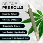 Delta 8 Pre Roll Pack - OG Kush - Elevate