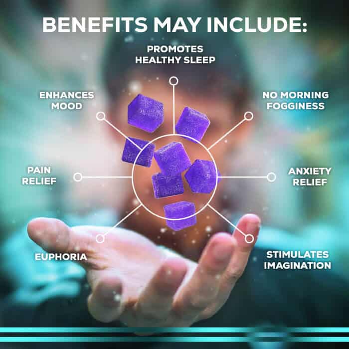 THC Sleep Gummies - Elevate