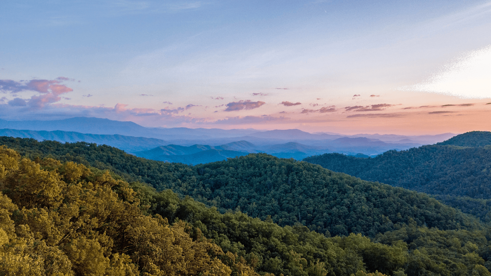 Is THCA Legal In Tennessee: A Quick Guide For Residents - Elevate