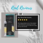 Delta 8 THC Vape Cartridge - Mango - Elevate