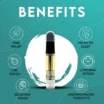DELTA 8 THC VAPE CARTRIDGE - JACK HERER - Elevate