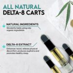 Delta 8 THC Vape Cartridge - Mango - Elevate