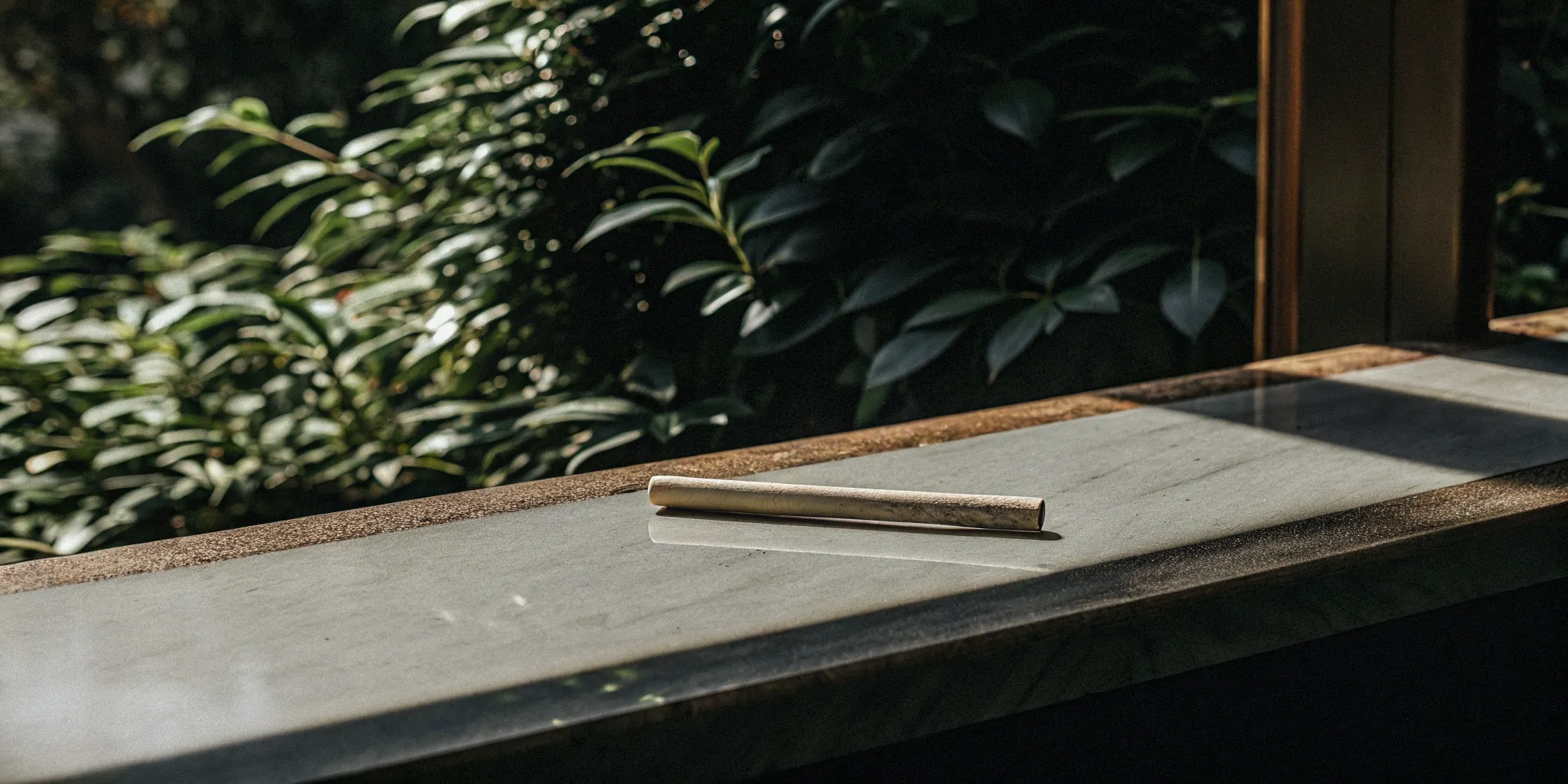 Delta 8 pre-roll in natural light.
