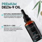 Delta 9 Oil Tincture - Elevate