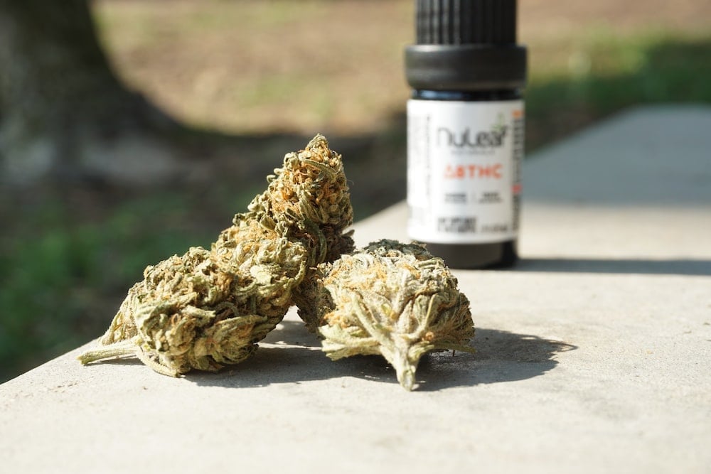 Delta 8 Tolerance Break. A complete guide