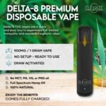 Delta 8 THC Disposable Vape Pen - Northern Lights - Elevate